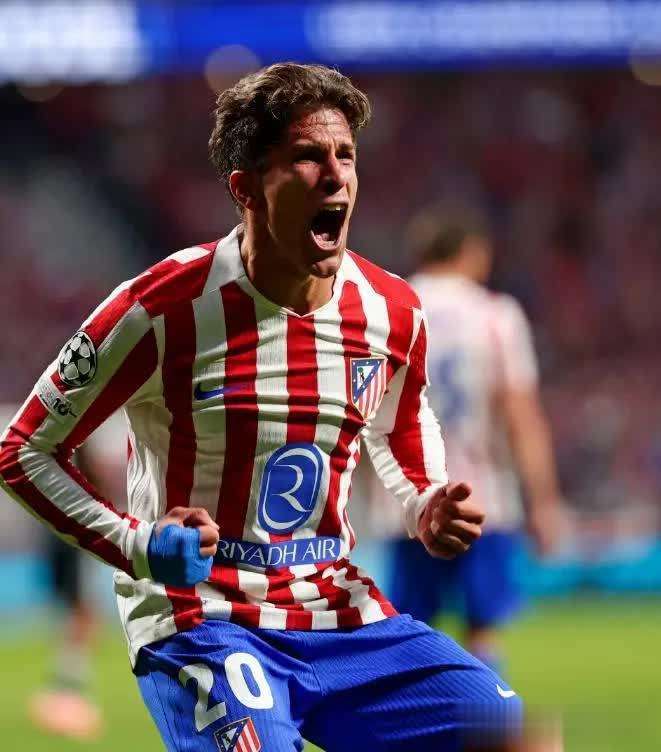 塞尔塔球员 塞尔塔球员